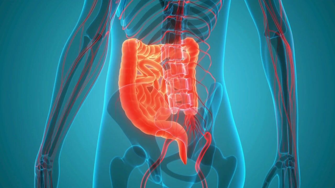 Going Gluten-Free Didn't Fix Your Gut? Here's Why — video still 1