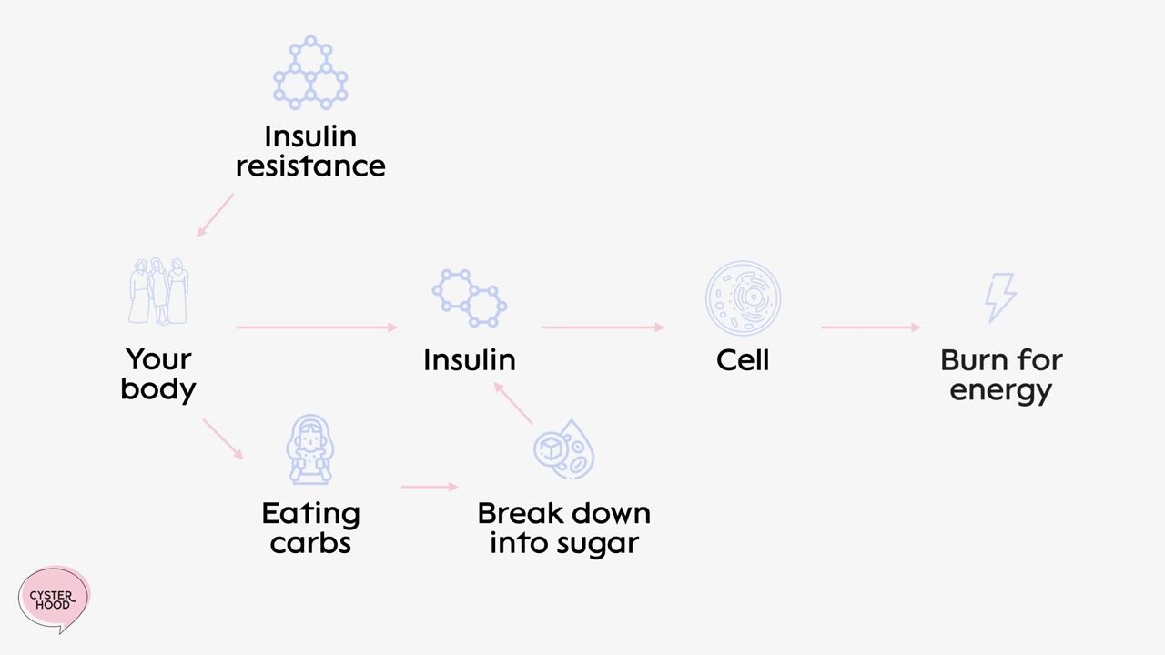 What Causes PCOS & How to Reverse Symptoms — video still 2